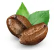 Garcina