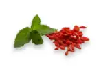 Berberine