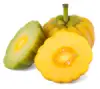 Garcina